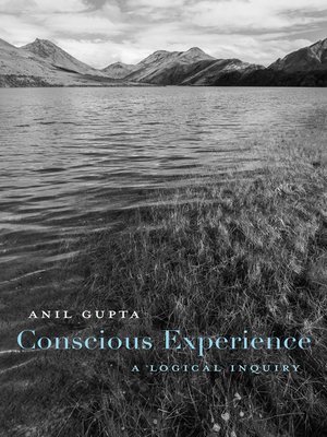 cover image of Conscious Experience